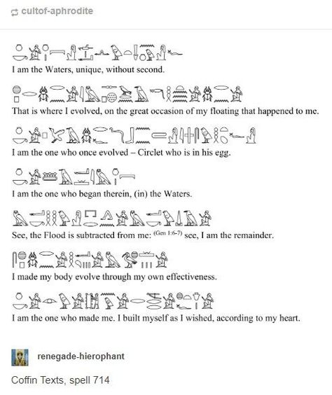 Egyptian Language, Ancient Egypt Hieroglyphics, Egypt Hieroglyphics, Witchy Academia, Ancient Egyptian Hieroglyphics, Hand Tats, Egyptian Tattoo, Egyptian Hieroglyphics, Egyptian Mythology