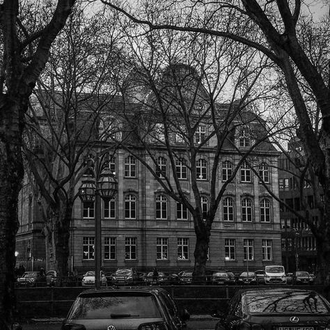 Old School Building, High School Building, Fish In A Tree, Boarding School Aesthetic, Old High School, Building Aesthetic, Catcher In The Rye, College Aesthetic, Website Backgrounds