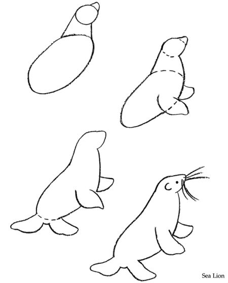 How to Draw Aquarium Animals - ClipArt Best - ClipArt Best Draw Animals, Sea Lion, Art Drawings For Kids, Creative Drawing, Animal Clipart, Drawing Lessons, Childrens Art, Step By Step Drawing, Teaching Art