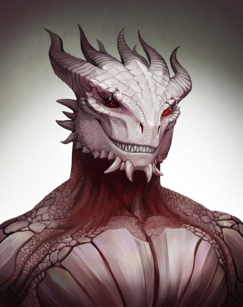 Dnd Dragonborn, Dragon Born, Character Profiles, Humanoid Creatures, Dnd Dragons, Dungeons And Dragons Characters, Fantasy Castle, Baldur's Gate, Dungeons And Dragons Homebrew