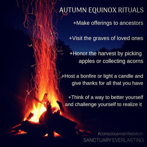 Learn about Autumn equinox rituals and how to celebrate the pagan rites of Mabon. Try a simple meditation to connect with this powerful, seasonal energy. Autumnal Equinox Celebration, Fall Solstice, Autumn Equinox Ritual, Equinox Ritual, Simple Meditation, Wiccan Sabbats, Solstice And Equinox, Pagan Festivals, Autumn Witch