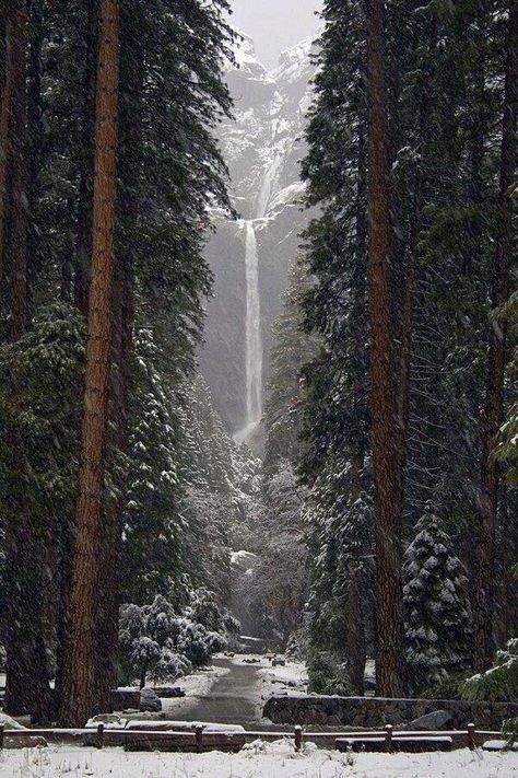 Fancy Water, Yosemite California, California Photos, Yosemite Falls, Jolie Photo, Yosemite National, Yosemite National Park, Pretty Places, In The Woods