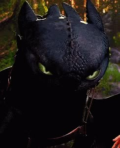 Toothless Night Fury GIF - Toothless Night Fury Httyd - Discover Httyd Pictures, Toothless Drawing, Httyd Toothless, Toothless Night Fury, Dragons Riders Of Berk, Night Fury Dragon, Httyd Art, Toothless Dragon, Hiccup And Toothless