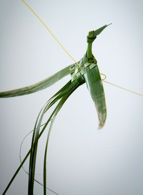 CARIBBEAN BIRD OF PARADISE | COCONUT LEAF PATTTERN CURRICULUM Coconut Weaving, Leaf Creations, Bird Nest Craft, Palm Leaf Art, Flax Weaving, Coconut Leaves, Diy Leaves, Japanese Bamboo, Origami Bird