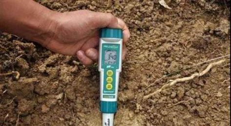 Soil acidification  Normally neutral soils pH is around 7 but soil pH in many areas is less than 5. Mineral Nutrition, Soil Conditioner, Soil Ph, Organic Matter, Soil, Matter, Nutrition, Conditioner, Key