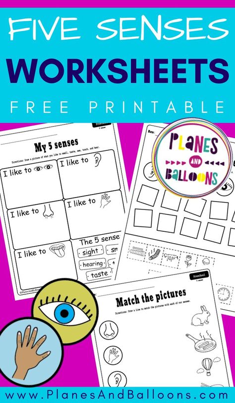 Free printable five senses worksheets for preschool and kindergarten. My five senses activities cut and paste. #prek #kindergarten #planesandballoons Preschool Activities 5 Senses, 5 Senses Unit Preschool, Preschool Five Senses Activities, Five Senses Worksheet Free Printable, Five Senses Activities For Kindergarten, Five Senses Activities For Preschoolers, 5 Senses Activities For Preschoolers, Five Senses Kindergarten, 5 Senses Preschool