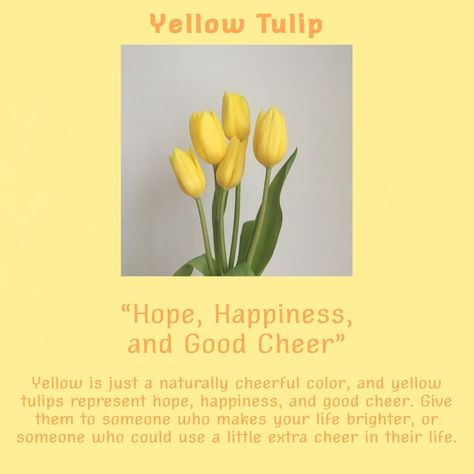 Yellow Tulips Meaning, Loml Meaning, Tulips With Quotes, Tulip Meaning, Tulips Quotes, Hook Quotes, Meaning Aesthetic, Quotes Yellow, Tulips Meaning