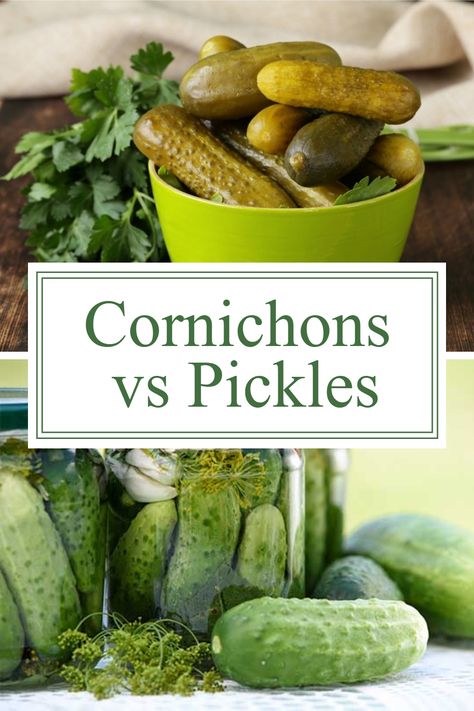 Cornichons and pickles are both beloved accompaniments in various culinary traditions, but they have their own unique characteristics. Cornichons, which originated in France, are small, tart pickles made from immature cucumbers. On the other hand, pickles come in numerous shapes, sizes, and flavors, and they can be found in cuisine from around the world. Understanding the differences between cornichons and pickles can help enhance your culinary experience and appreciation for these tangy treats. Cornichons Recipe, Cucumber Uses, Cucumber Varieties, Cucumber Canning, Cucumber Dill, Small Cucumber, Vegetables Recipes, Charcuterie Platter, Pickling Cucumbers