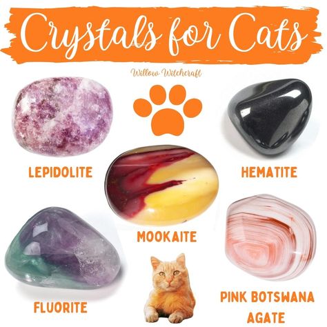 Crystal Powers, Chakra Stones Healing Crystals, Witch Life, Crystal Magick, All Types Of Cats, Crystal Healing Chart, Animal Reiki, Crystal Work, Spell Jars