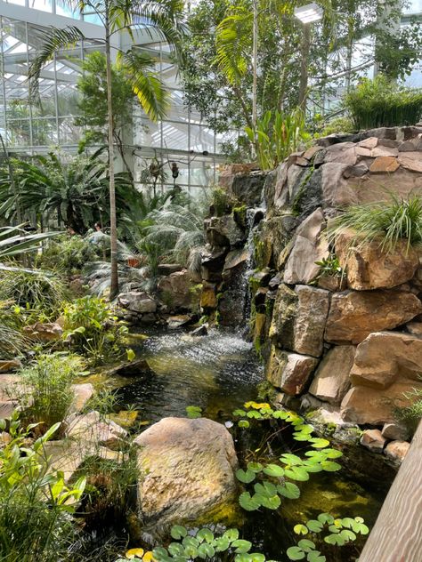 Greenhouse with lilypad pond , a waterfall and cacti. Giant Garden, Jungle Greenhouse, Butterfly Garden Art, Tropical Greenhouses, Garden Pond Design, Greenhouse Interiors, Natural Pond, Backyard Water Feature, Big Plants