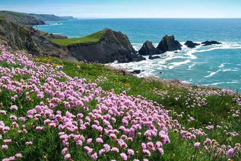 Welcome to North Devon Coast AONB | North Devon Coast Phone Cleanse, Seaside Kingdom, Landscape Photography Horizontal, Landscapes To Draw, Random Header, Duke Of Wellington, Landscape References, Devon Coast, Gustave Dore