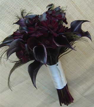 Flower Arrangements by Color Pt. 1 Black Calla Lily, Unique Bridal Bouquets, Feather Bouquet, Black Bouquet, Purple Calla Lilies, Gothic Flowers, Calla Lily Bouquet, Lily Bouquet, Goth Wedding