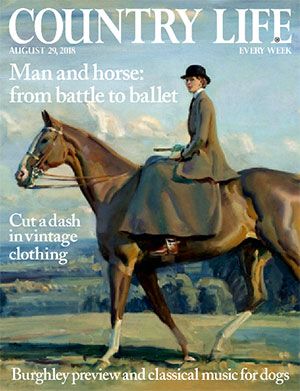 Country Life August 29 2018 - Country Life Property Advertising, Country Life Magazine, English Magazine, Life Magazine Covers, Country Magazine, British Country, Life Cover, Country Living Magazine, Best Of British