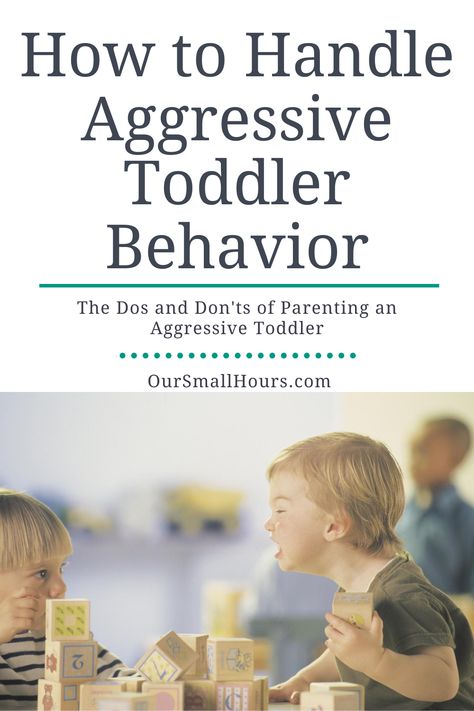 Toddler Behavior Problems, Toddler Behavior Management, Aggressive Toddler, Hitting Toddler, Emotional Release, Toddler Biting, Toddler Behavior, Parenting Discipline, Tantrums Toddler