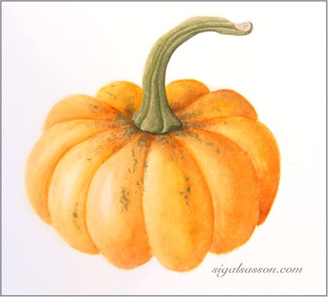 Halloween Pumpkin Images, Autumn Tattoo, Pumpkin Drawing, Watercolor Fruit, Watercolor Pumpkins, Pumpkin Colors, Fall Watercolor, Pumpkin Art, Fall Prints