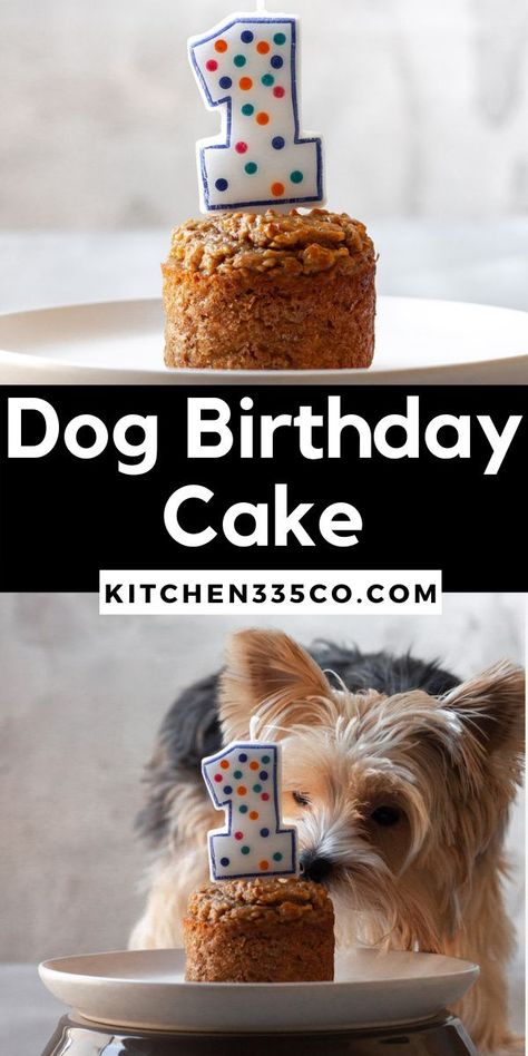 Dog Birthday Cake Simple, Dog Cake Recipe Easy, Peanut Butter Dog Cake, Easy Dog Cake, Dogs Birthday Cake, Birthday Dog Cake, Homemade Dog Cake, Birthday Cake For Dogs, Dog Cake Recipe