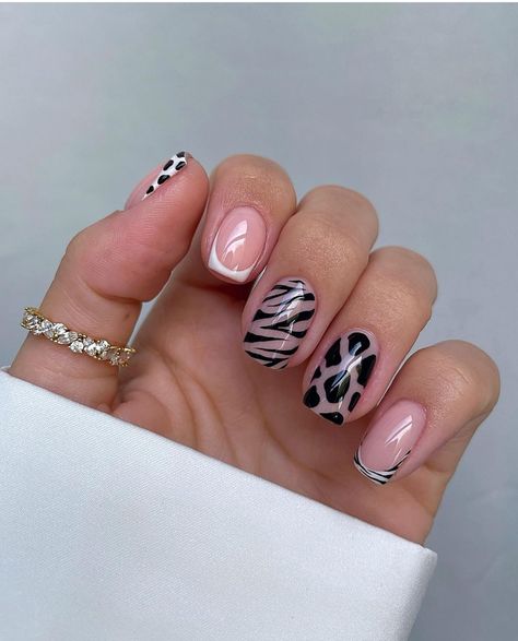 Zebra Nail Designs, Sns Nails Designs, Leopard Nail Designs, Cheetah Nail Designs, Zebra Nails, Cheetah Nails, Leopard Print Nails, Leopard Nails, Animal Nails