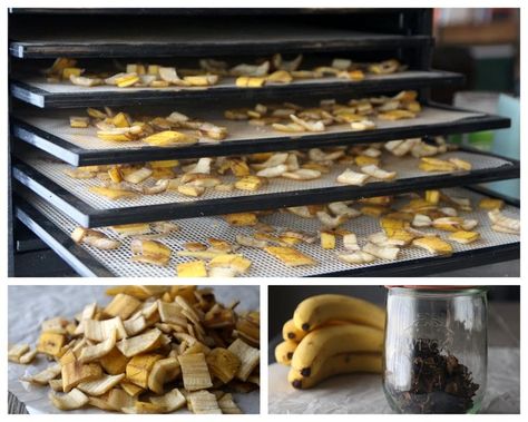 How To Make Banana Tea For Restful Sleep Banana Peel Tea, Banana Peel Uses, Dehydrated Bananas, Banana Tea, Banana Walnut Muffins, Banana Peels, Relax Muscles, Banana Walnut, Dried Bananas