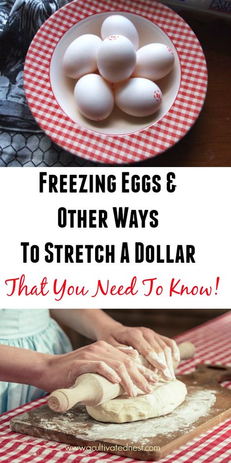 How To Stretch A Dollar - Freezing eggs & other money saving tips that you need to know! I'm always looking for ideas on how to stretch a dollar! So I found some money saving tips that were new to me and thought I'd share. #frugal #frugalliving #moneysavingtips #thrfity #acultivatednest Money Saving Food Hacks, Freezing Eggs How To, Frugal Cooking, Freezing Food, Freezing Eggs, Saving Money Tips, Pay Off Debt, Money Saving Meals, Best Money Saving Tips