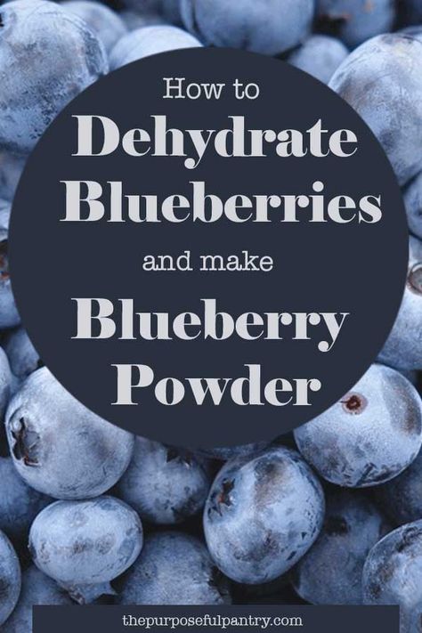 Dehydrate Blueberries, Dehydrating Blueberries, Dehydrated Blueberries, Purposeful Pantry, Dehydrator Recipes Fruit, Dehydrating Food Storage, Food Dehydration, Blueberry Powder, Fruit Leather