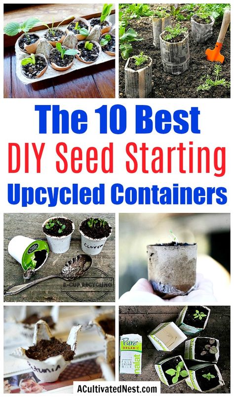 10 Creative Seed Starting Ideas- Start your seeds the frugal way with these 10 DIY upcycled seed starting containers! So many inexpensive everyday items can make great seed starters! | DIY seed starting container hacks, how to start seeds, frugal gardening, save money on gardening, gardening tips, upcycled seed starting containers, gardening hacks #gardening #gardeningtips  #seedStarting #upcycle #ACultivatedNest Seed Starting Containers, Garden Diy Decoration Ideas, Indoor Gardening Supplies, Seed Starters, Frugal Gardening, Container Garden Design, Starting Seeds Indoors, Nest Design, Diy Upcycling