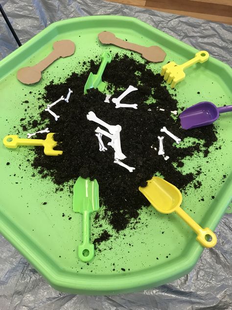 Pets Eyfs Activities, Reggio Classroom, Eyfs Activities, Funny Bones, Tuff Tray, Tray Ideas, Messy Play, Small World Play, Dinosaur Theme