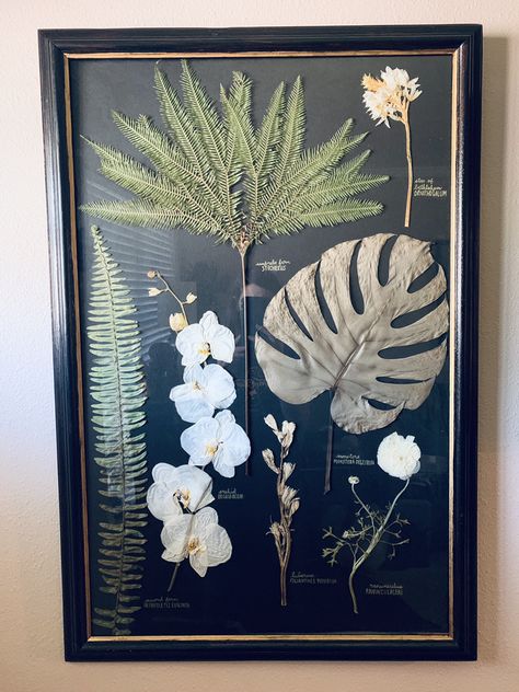 One of my favorite flower displays, the scientific herbarium... how perfect to use this for your wedding flowers and have the scientific name included Pressed Botanical Art, Pressed Flower Crafts, Wall Diy, Bouquet Preservation, Pressed Flower Art, Diy Paint, Lofoten, Nature Crafts, Arte Floral