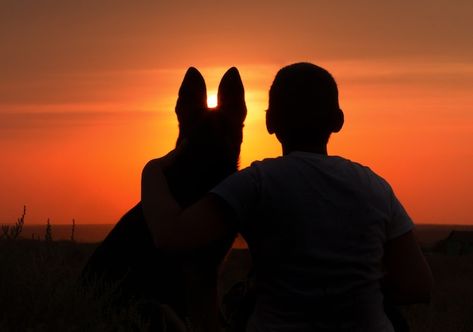 Silhouette of a young man with a dog enj... | Premium Photo #Freepik #photo #dog-walk #dog-training #dog-owner #man-dog Dog And Human Silhouette, Man And Dog Drawing, Sunset In A Field, Galaxy Animals, Dog Foto, Walk Dog, Resin Work, Silhouette Photography, Dog Best Friend