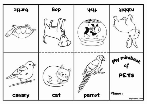 Free Printable Mini Coloring Book With Vocabulary Pets Party For Kids ESL Resource Book Pages Printable, Mini Coloring Book, Ingles Kids, Fathers Day Coloring Page, Animal Worksheets, Esl Activities, Abc Coloring, Printables Free Kids, English Activities