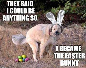 They said I could be anything so I became the easter bunny - dog pooping eggs Don't miss our funny Easter memes and images for sharing #easter #easterbunny #funnymemes #funny #funnypictures #memes #memesdaily #memesfacebook #lol Funny Easter Images, Funny Easter Pictures, Funny Easter Cards, Easter Memes, Bunny Meme, Happy Easter Funny, Funny Easter Bunny, Easter Quotes, Easter Dog