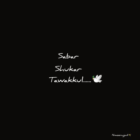 Sabar Shukar, My Photo Gallery, Photo Gallery, Collage, Pins, Quick Saves