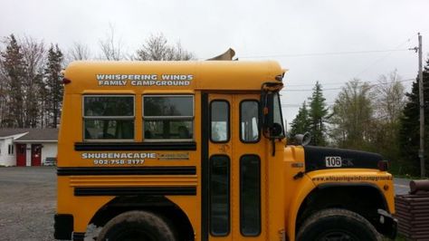 This is actually a bus for a campground in Nova Scotia. The owners call it Canadas smallest operational school bus. Bus Humor, Clint Howard, Roof Decks, Kangoo Camper, Old School Bus, Yellow School Bus, Short Bus, School Buses, Bus Life