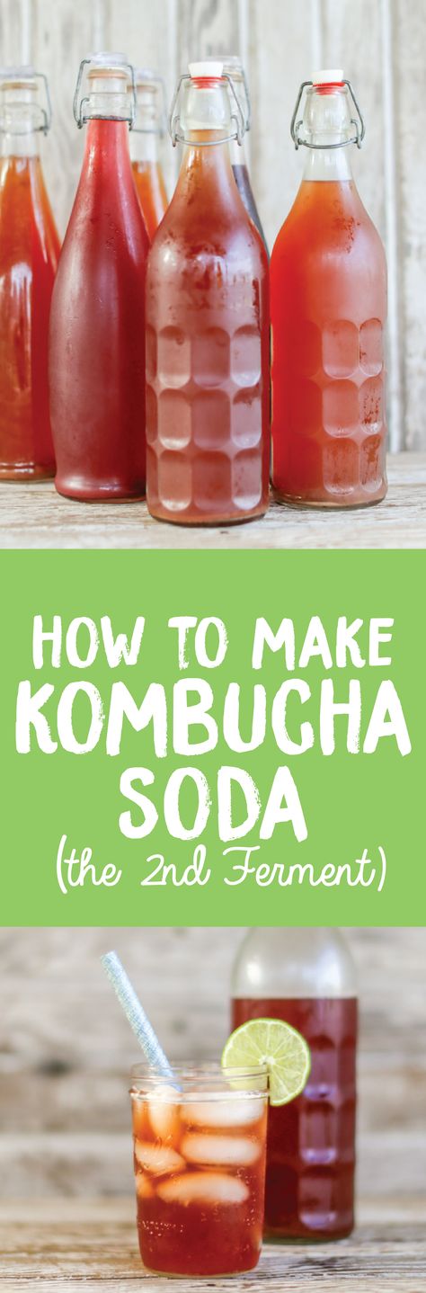 How to make Kombucha Soda (second ferment) - Health Starts in the Kitchen Fermented Soda, Kombucha Drink, Kombucha Recipes, Kombucha Bottles, Make Kombucha, Kombucha Flavors, Kombucha Scoby, Fermented Drinks, Homemade Kombucha