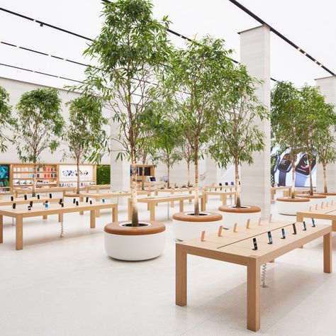 Apple's central London store has reopened following a major renovation by Foster + Partners that shows the tech giant's new approach to retail. Apple Store Interior, Apple Store Design, 블로그 디자인, Indoor Tree, Foster Partners, Regent Street, Store Interiors, Mac Pc, Apple Design