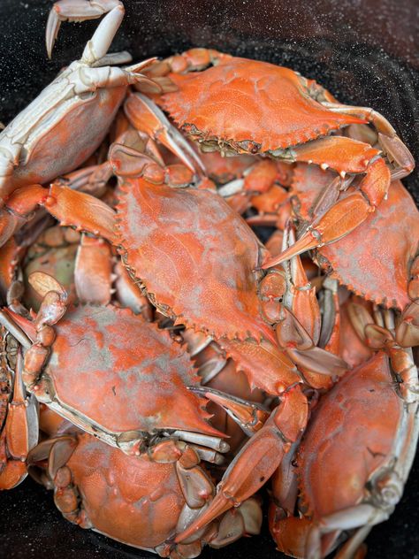 Join us for a Crab Feast on the Eastern Shore of Maryland! We have plenty of tips and tricks for you to explore. Discover the essential tools required, the best dishes to serve, and learn how to set the ideal ambiance for unwinding, enjoying a cold beer, and savoring delicious crabs. #eastonmd #easternshore #crabfeast #watermen #howtohost Crab Feast, Summer Workout Outfits, Maryland Crabs, Eastern Shore Maryland, Crab Recipes, Easy Parties, Old Bay, Easy Entertaining, Eastern Shore