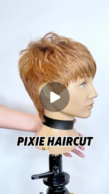 Pivot Point International on Instagram: "#TutorialTuesday brought to you by @carrielovesedu 🧚🧚🧚 #PixieCut #PivotPoint #LearnForward" How To Cut Pixie Haircut Tutorial, Haircutting Tutorials, Pixie Haircut Tutorial, Classic Pixie, Point Cut, Haircut Tutorial, Haircut Designs, Hair Brained, Short Pixie Cut