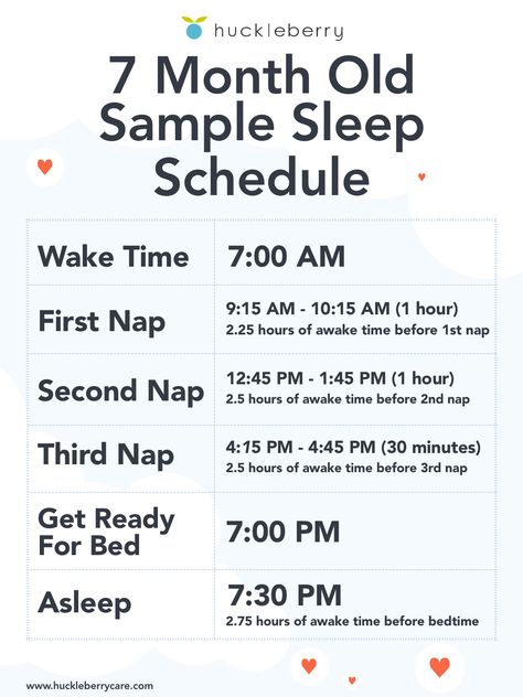 Learn about the age based sleep development changes and tips for seven month old babies, and see a sample sleep schedule. 7 Month Old Sleep, 5 Month Old Sleep, 6 Month Old Sleep, 3 Month Old Sleep, Bedtime Schedule, Baby Sleep Routine, 5 Month Old Baby, Newborn Sleep Schedule, 5 Month Old