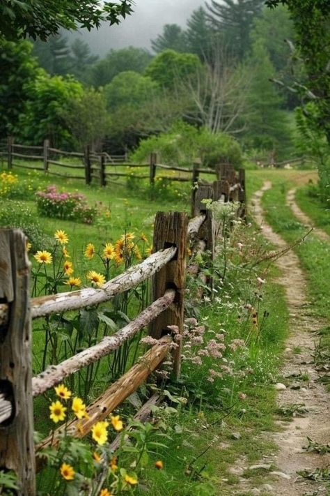 Creative Fence, Garden Fences, Cottage Aesthetic, Flowers Growing, Country Landscaping, Pretty Landscapes, Country Scenes, Wooden Fence, Fence Ideas