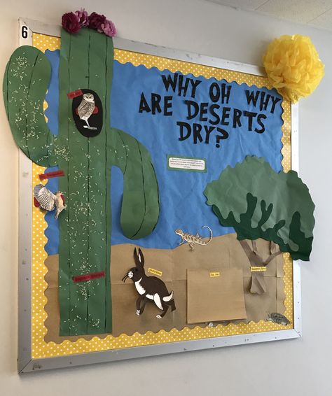 Desert Bulletin Board Ideas, Desert Theme Bulletin Boards, Desert Bulletin Board, Desert Classroom Theme, Hallway 2023, Desert Preschool, Desert Classroom, Cactus Bulletin Board, Zoomerang Vbs