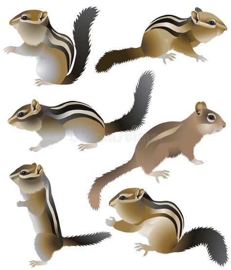 Chipmunk. Collection of chipmunks in colour image , #spon, #Collection, #Chipmunk, #chipmunks, #image, #colour #ad Chipmunk Illustration, Farm Clipart, Pottery Place, Childrens Drawings, Paper Toys, Chipmunks, Forest Animals, Colour Images, Cartoon Drawings