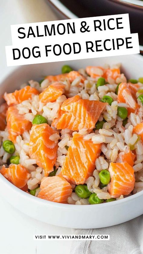 All-natural ingredients make this salmon and rice dog food a nutritious choice for keeping your dog happy and healthy. #HomemadeDogFood Dog Salmon Recipe, Canned Salmon Dog Food Recipe, Healthy Puppy Food Recipes, Vet Approved Homemade Dog Food Recipes, Salmon Dog Food Recipes, Food With Salmon, Raw Diet Recipes, Crockpot Dog Food, Salmon Dog Treats