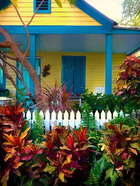 Caribbean Cottage, Caribbean Garden, Key West Photos, Florida Landscaping, Yellow Cottage, Coral Garden, Beach Cottage Decor, Hdr Photography, Key West Florida