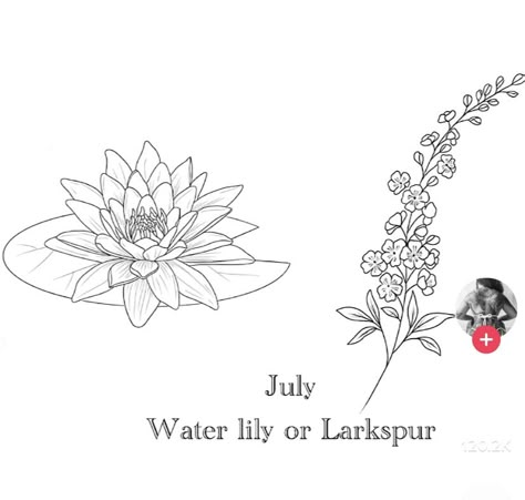 Larkspur Water Lily Tattoo, Water Lilly Tattoo Stencils, July Birth Flower Tattoo Water Lilies, Water Lily Outline, Larkspur Tattoo Simple, Flower Tattoo Upper Arm, Larkspur And Water Lily Tattoo, July Birth Flower Tattoo Larkspur, Waterlilly Tattoo