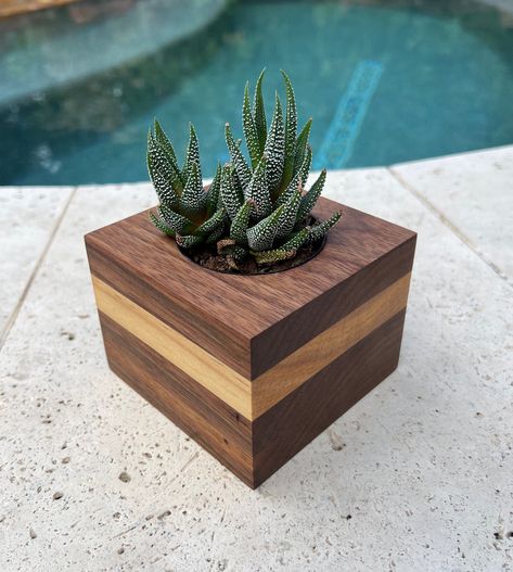 Small Woodworking Projects Carpentry Ideas, Succulent Holder, Small Planters, Succulent Planter Diy, Wooden Pot, Planter Diy, Wooden Items, Reclaimed Wood Projects, Craft Wood