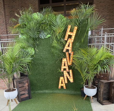 Jungle Party Photo Wall, Tropical Backdrop Diy, Havana Nights Party Theme For Men, Havana Nights Photo Backdrop, Night In Havana Party Theme, Havana Nights Backdrop Ideas, Havana Night Backdrop Ideas, Havana Nights 50th Birthday, Diy Havana Nights Decor