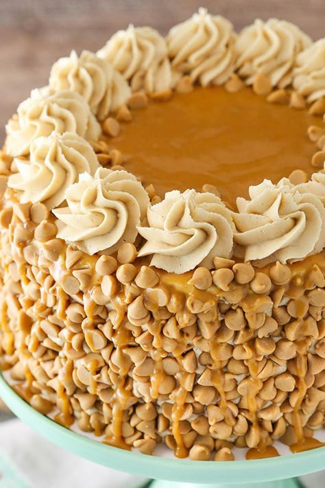 Peanut Butter Layer Cake, Peanut Butter Dessert Recipes, Layer Cake Recipes, Peanut Butter Cake, Peanut Butter Desserts, Peanut Butter Frosting, Butter Frosting, Peanut Butter Lovers, Dream Cake