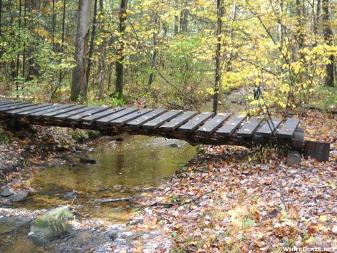 Bridge Over Creek, Backyard Bridges, Outdoor Bridges, Farm Pond, Lawn And Landscape, Forest Road, River House, Wood Bridge, Outdoor Landscaping