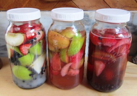 Kvass Fruit Beverage In Jars Kvass Recipe, Tomato Nutrition, Calendula Benefits, Probiotic Benefits, Coconut Benefits, Fermented Drink, Probiotic Foods, Blueberry Recipes, The Homestead