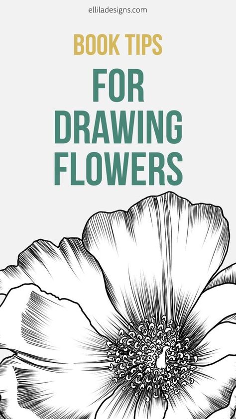 This blogpost gives you a list of great books to help you in learning to draw flowers and botanicals, book tips, drawing flowers, drawing botanicals, becoming an artist, botanical artist Flower Line Drawing Botanical Illustration, Flower Line Drawing Simple, Drawing Botanicals, Floral Art Drawing, Learn To Draw Flowers, Line Drawing Flowers, Botanical Art Drawing, Tips For Drawing, How To Draw Flowers