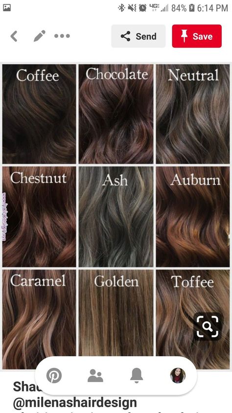 Toffee Hair Color, Skin Tone Hair Color, Hollywood Hair, Hair Color For Women, Brunette Highlights, Winter Hair Color, Hair Color Highlights, Tone Hair, New Hair Colors